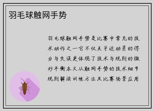 /uploads/images/20250521/yu-mao-qiu-chu-wang-shou-shi.webp